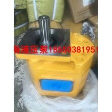 山東地區(qū)裝載機(jī)CBGJ2080 CBGJ2040液壓齒輪泵廠家價格