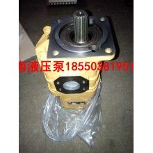 山東龍工機(jī)械專用液壓齒輪泵CBGJ3100/1010液壓泵廠家價格